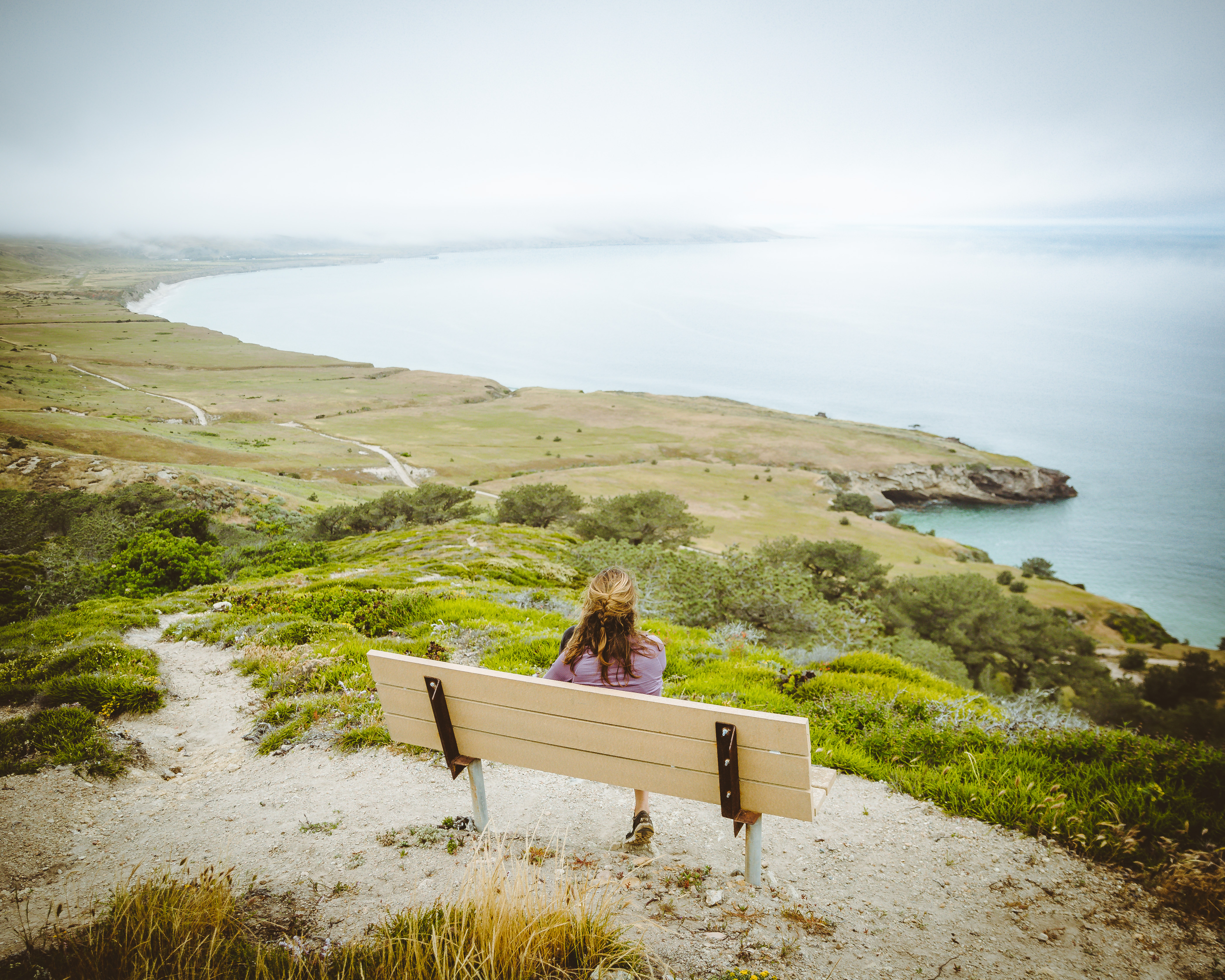 Torrey Pines Trail