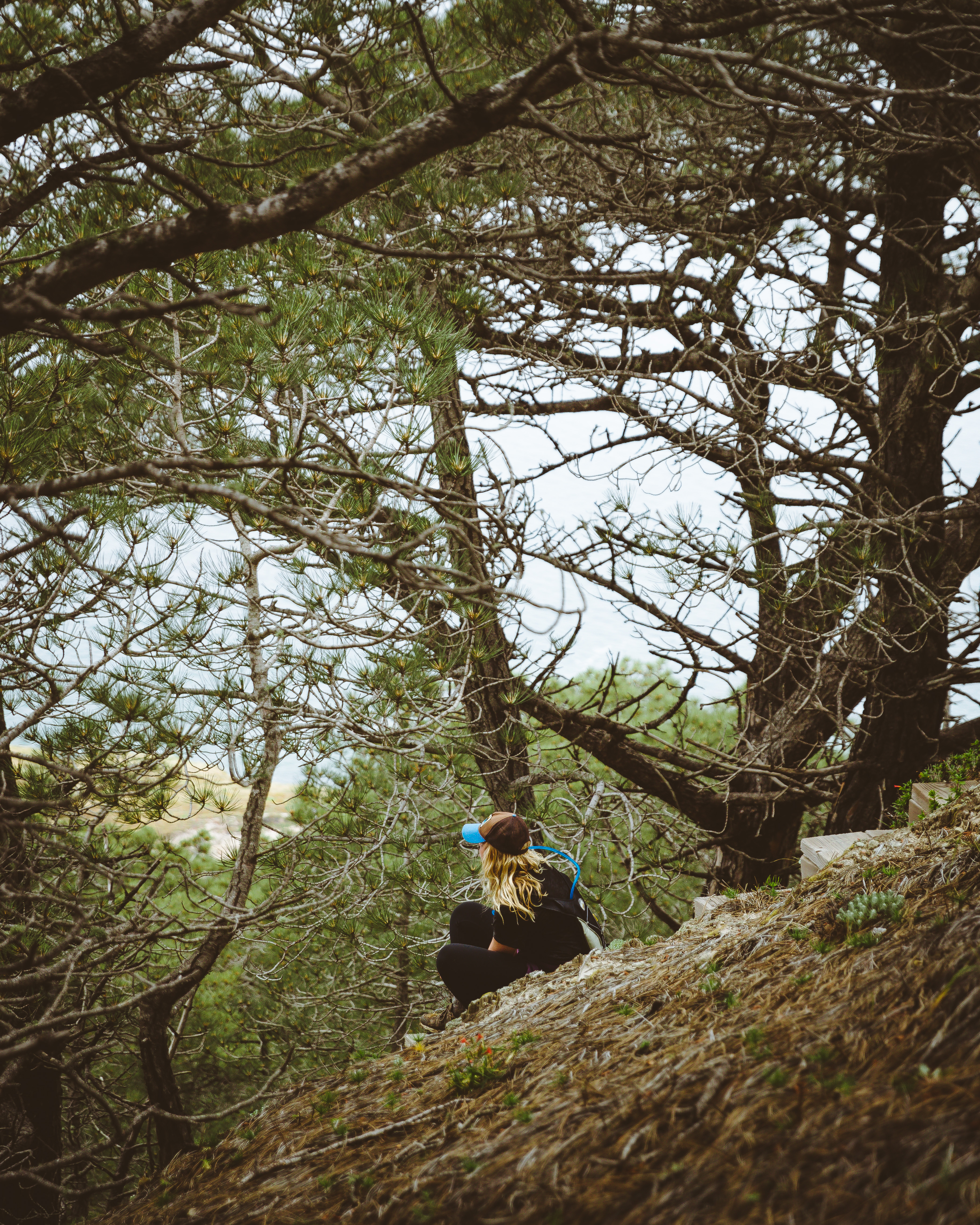 Torrey Pines Trail