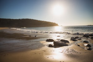 Relax at Sand Beach, Acadia National Park