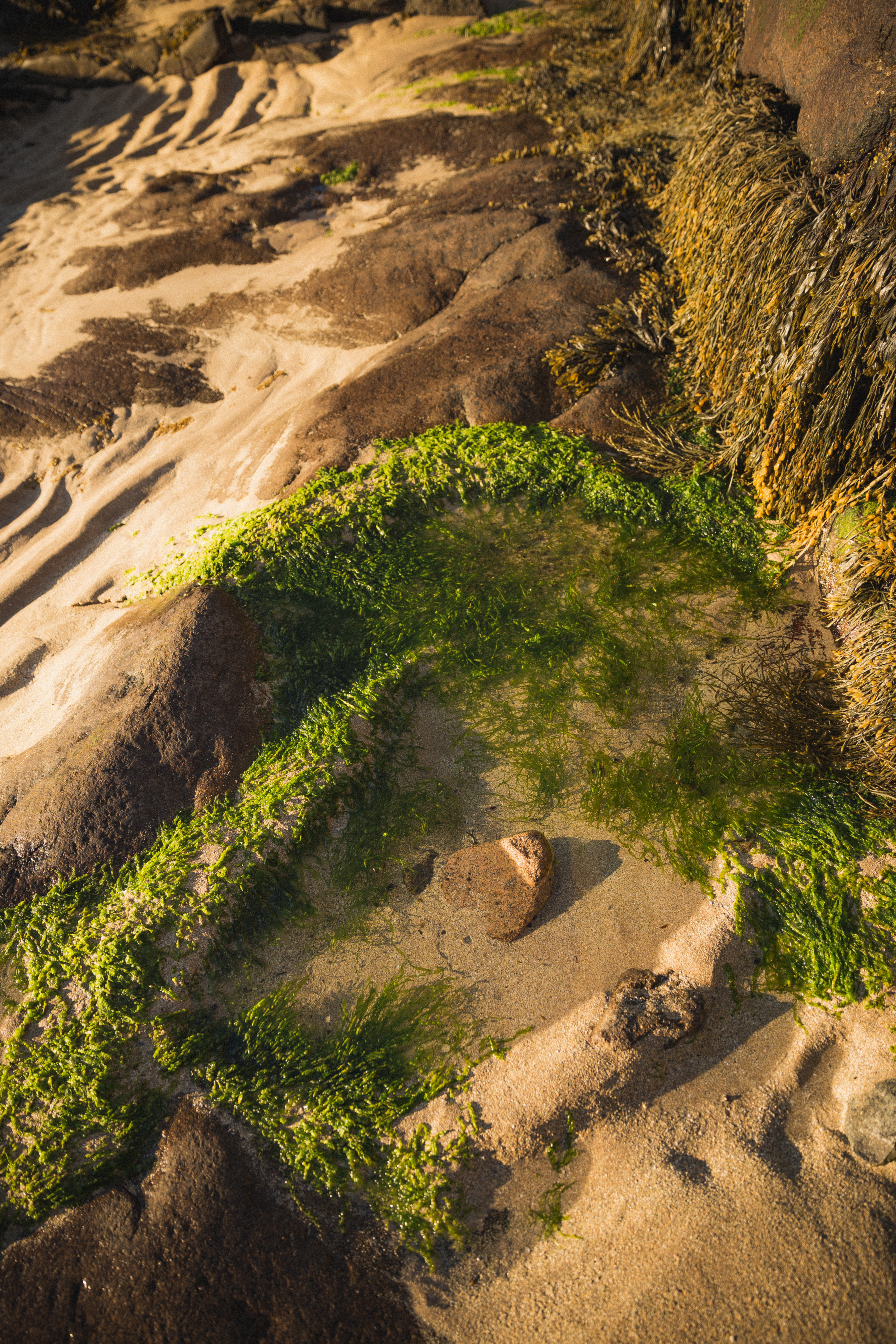 Sand Beach