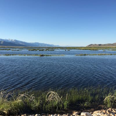 Birding, Hiking, & Camping in Nevada's Ruby Valley