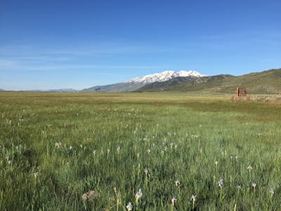 Birding, Hiking, & Camping in Nevada's Ruby Valley