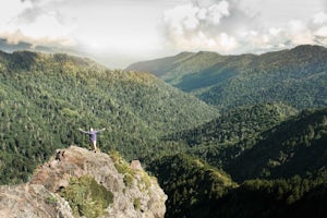 The Smokies Are Still Alive!