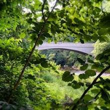 Hike the Deer Creek Trail