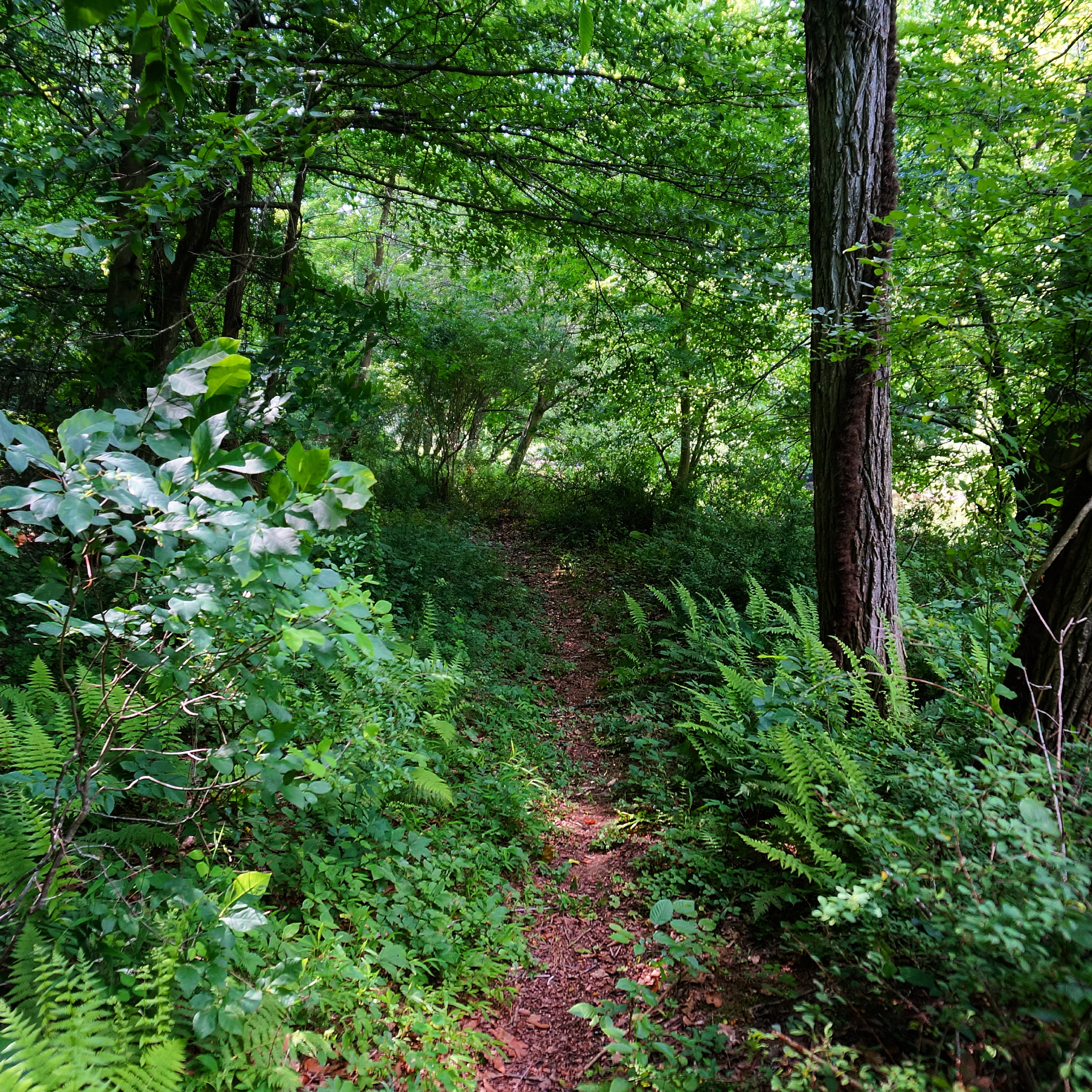 Hike the Deer Creek Trail