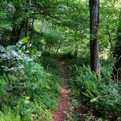 Hike the Deer Creek Trail