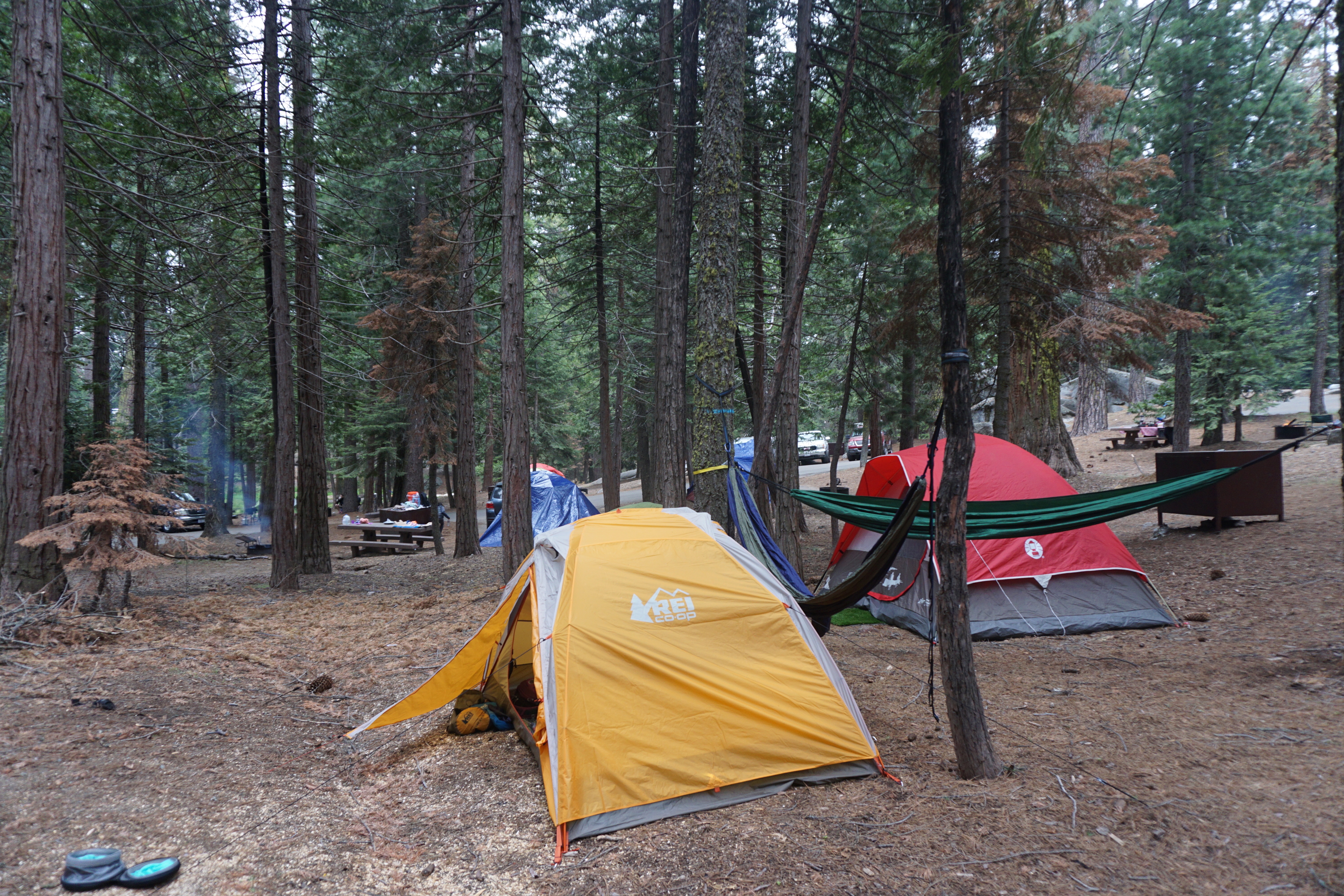 Camp at Sunset Campground in Kings Canyon National Park