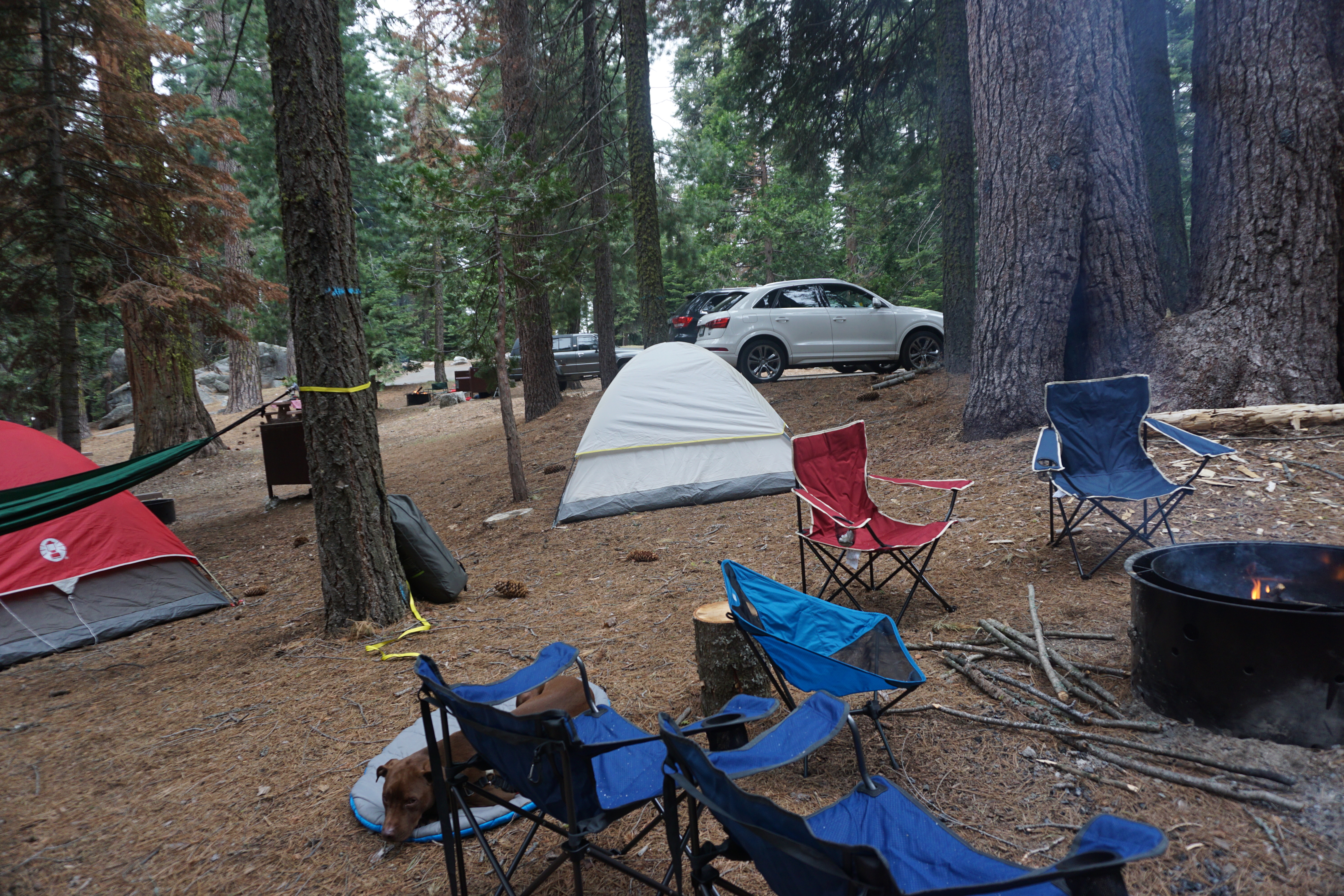 Camp at Sunset Campground in Kings Canyon National Park