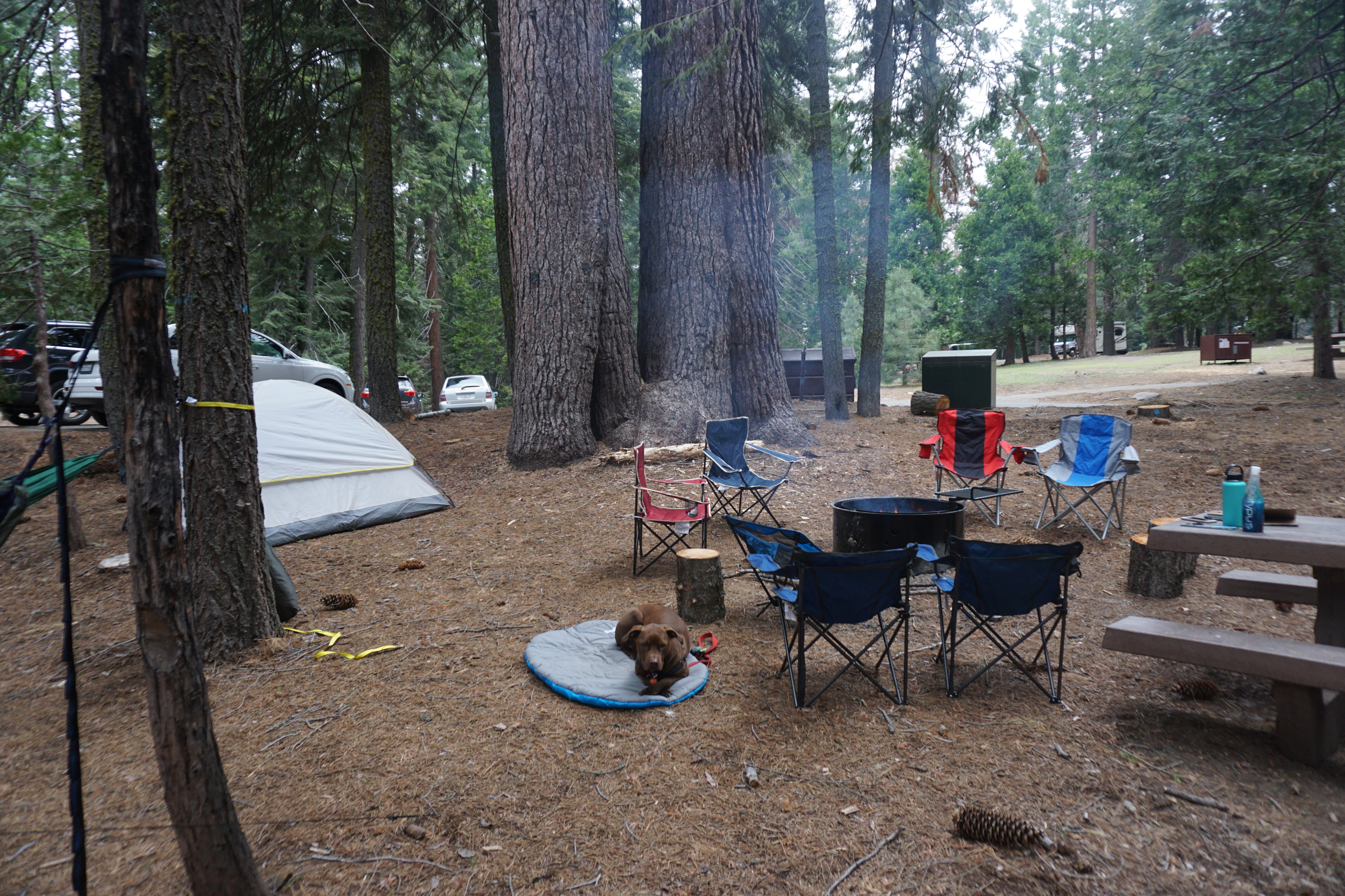 Camp at Sunset Campground in Kings Canyon National Park
