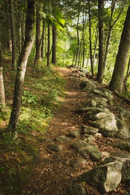 Take a Stroll at Fyfeshire Conservation Area
