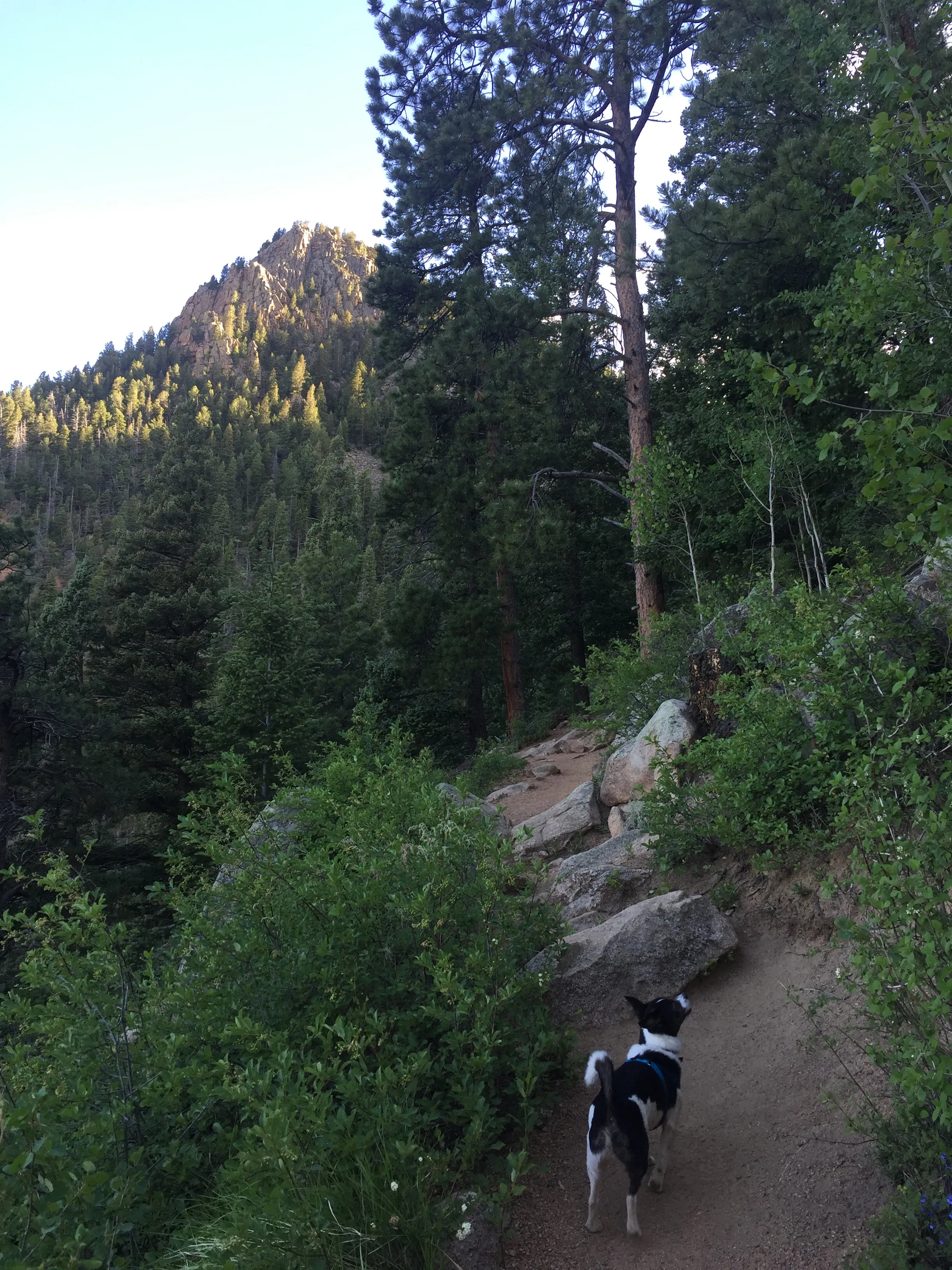 Hike the Saint Mary's Falls Trail