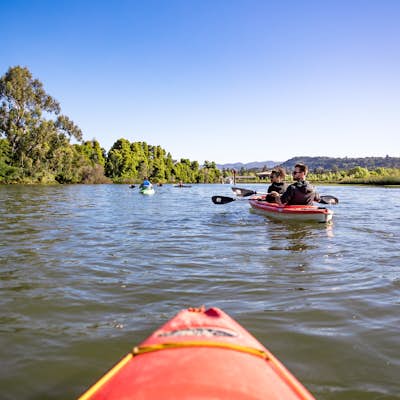 Kayak the Napa River