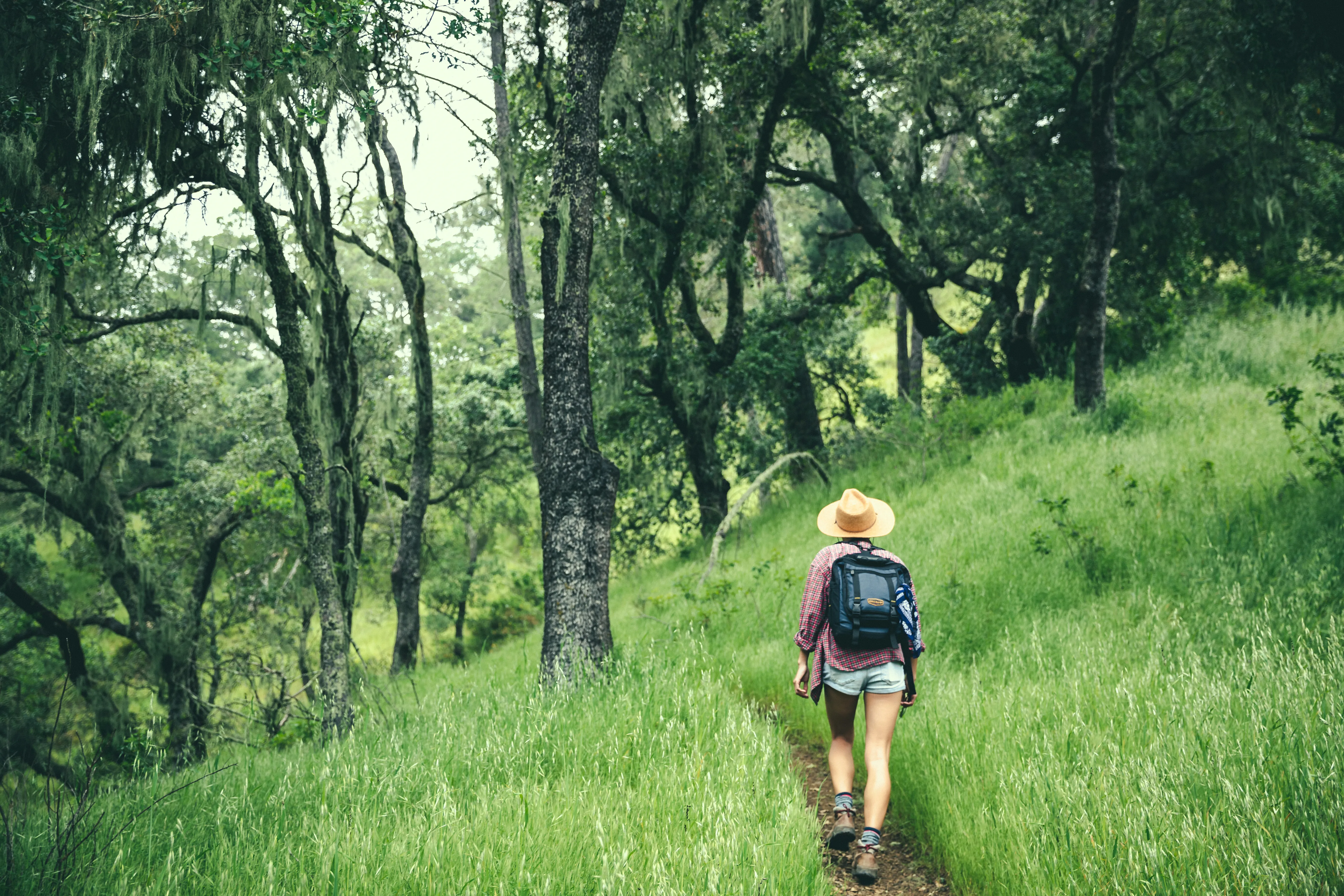 Bald Hill via Oat Hill Mine Trail