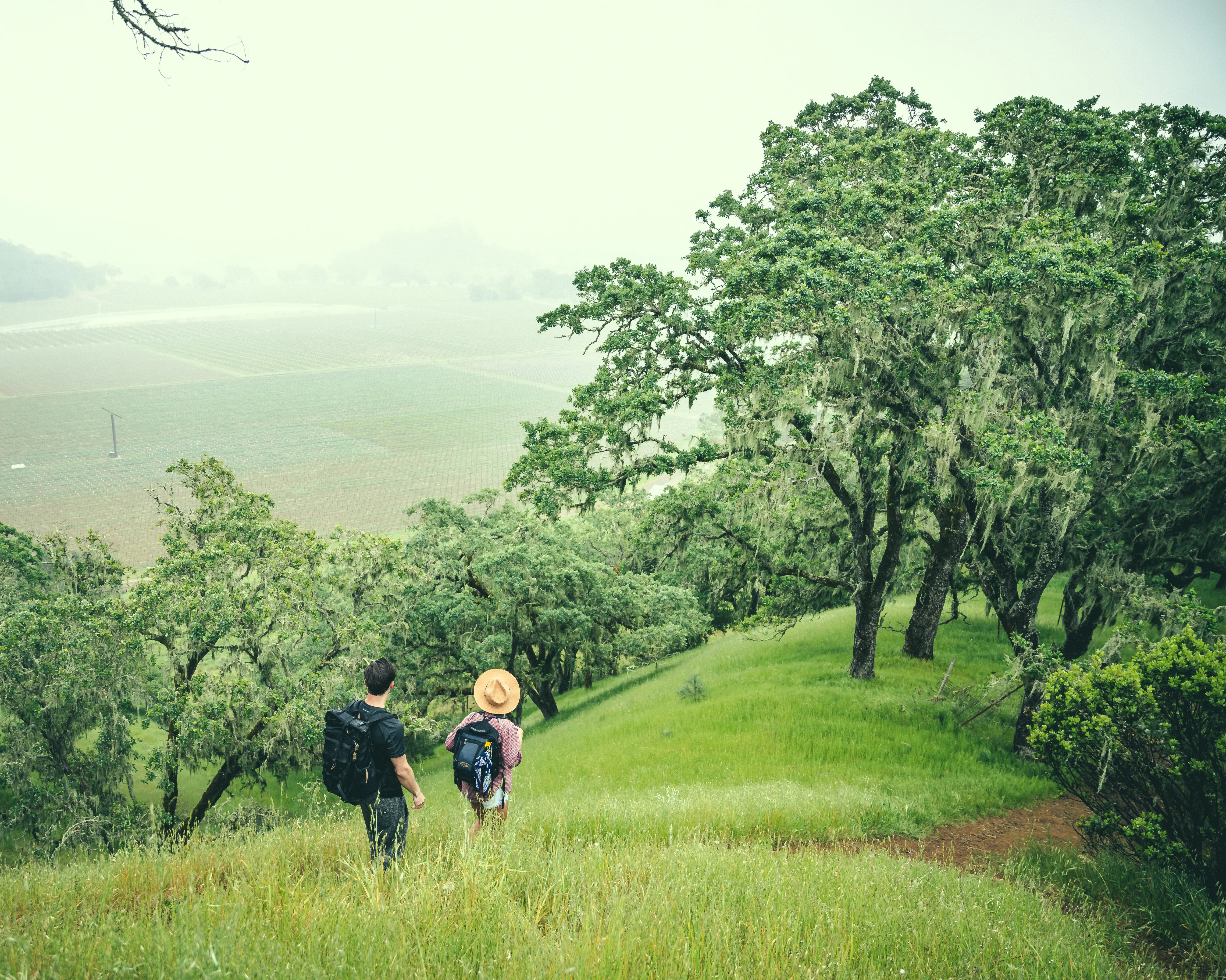 Bald Hill via Oat Hill Mine Trail