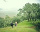 Hike Bald Hill in Robert Louis Stevenson State Park