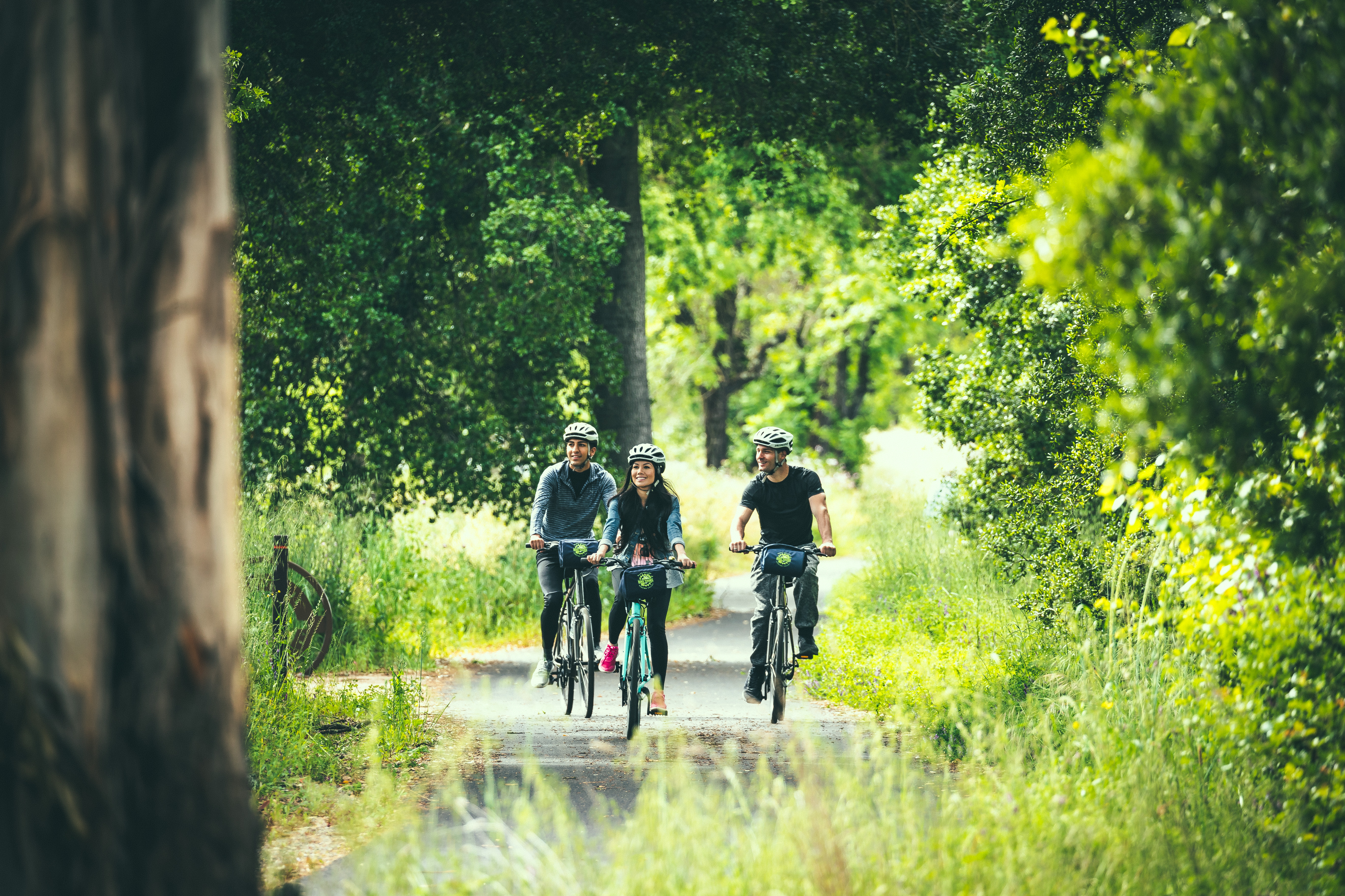 Bike the Napa Valley Wine Trail