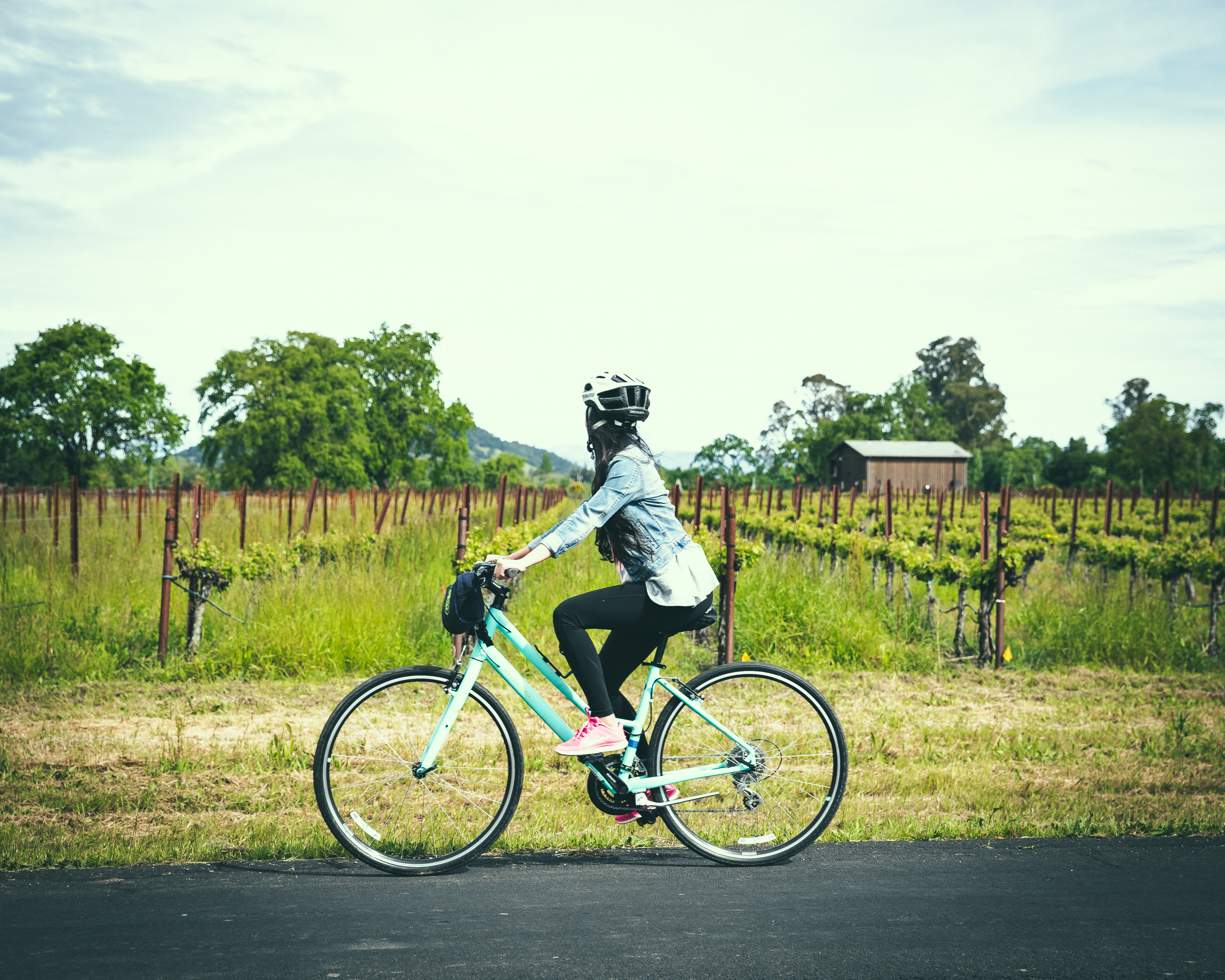 Bike the Napa Valley Wine Trail