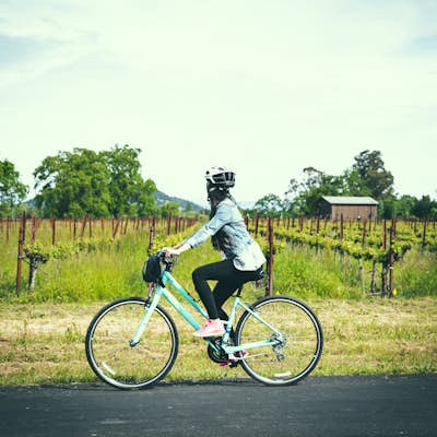 Bike the Napa Valley Wine Trail