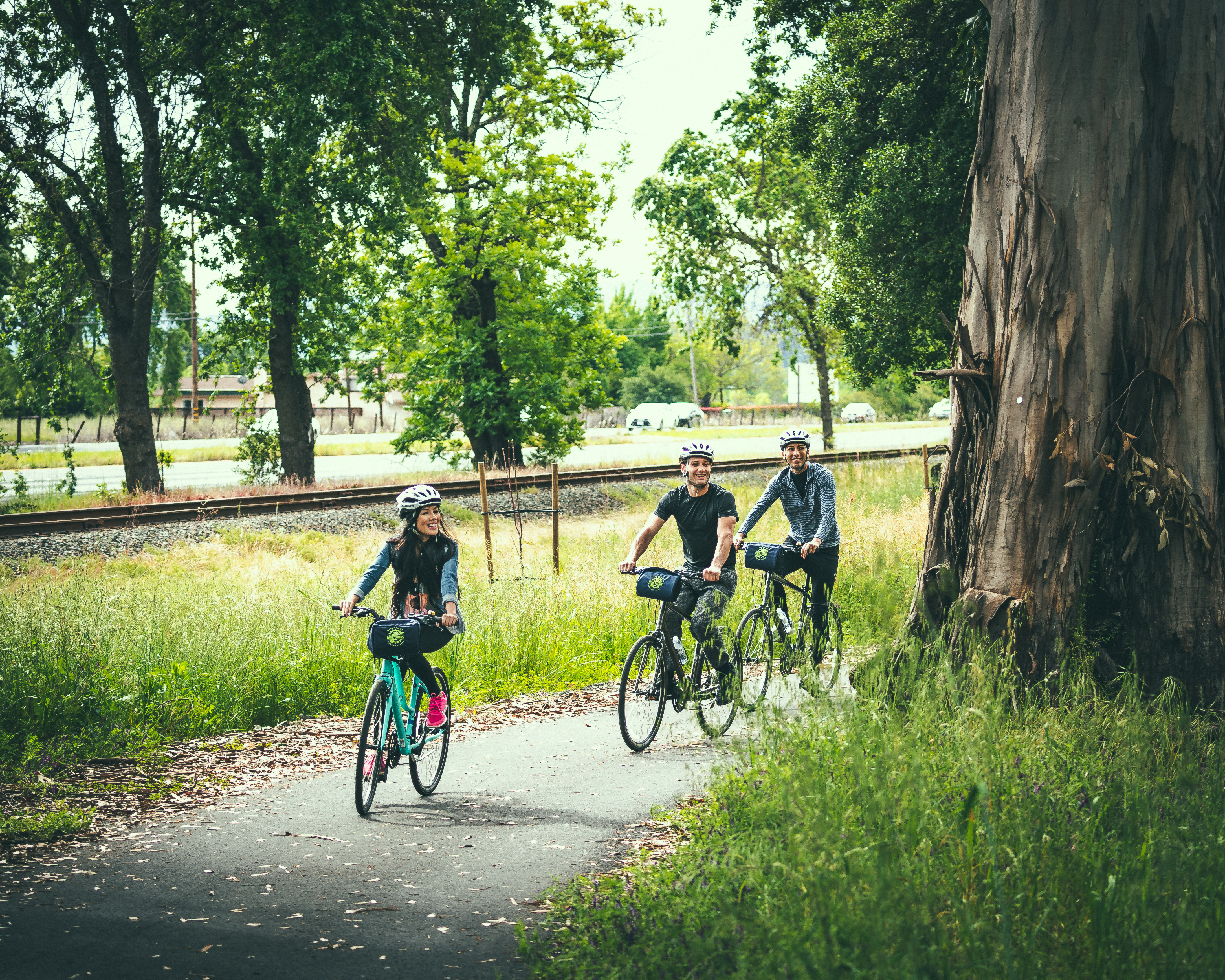Bike the Napa Valley Wine Trail, Yountville, California