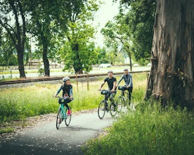 Bike the Napa Valley Wine Trail