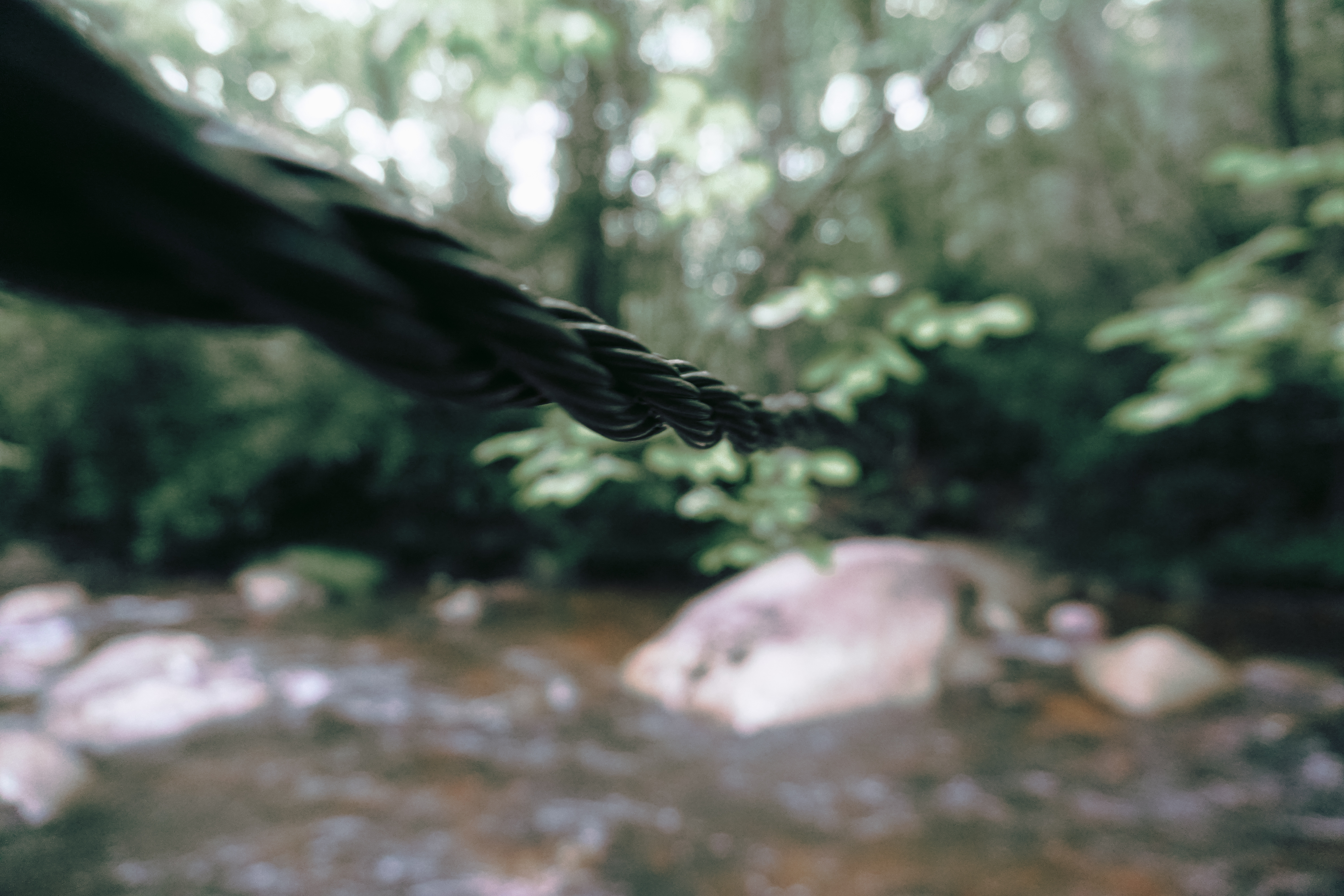 Hike and Traverse the Cables to Dennis Cove Falls