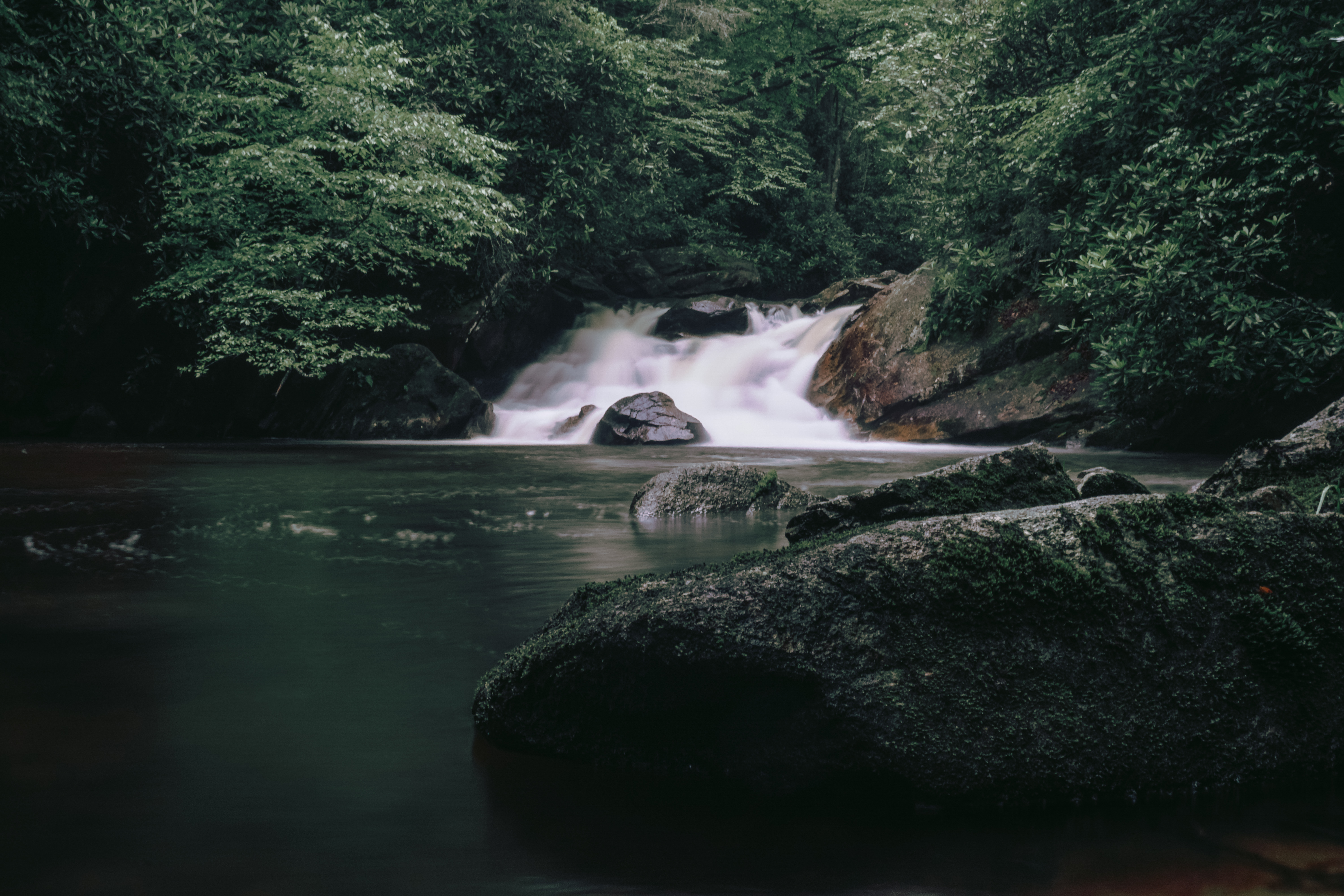 Hike and Traverse the Cables to Dennis Cove Falls