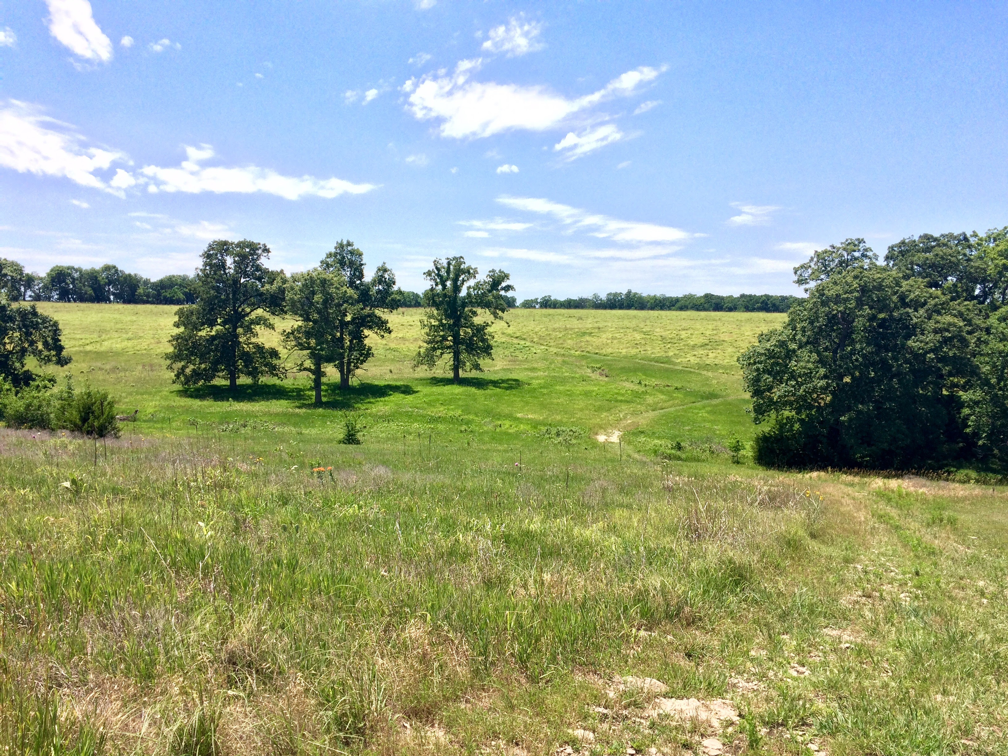 Explore Overland Park Arboretum & Botanical Gardens