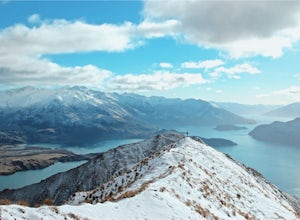 Why You Should Study Abroad in New Zealand