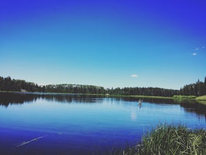 Camp and Fish Deer Creek Lake