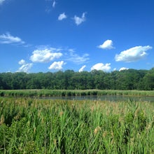 Hike the Black Marsh Trail at North Point State Park