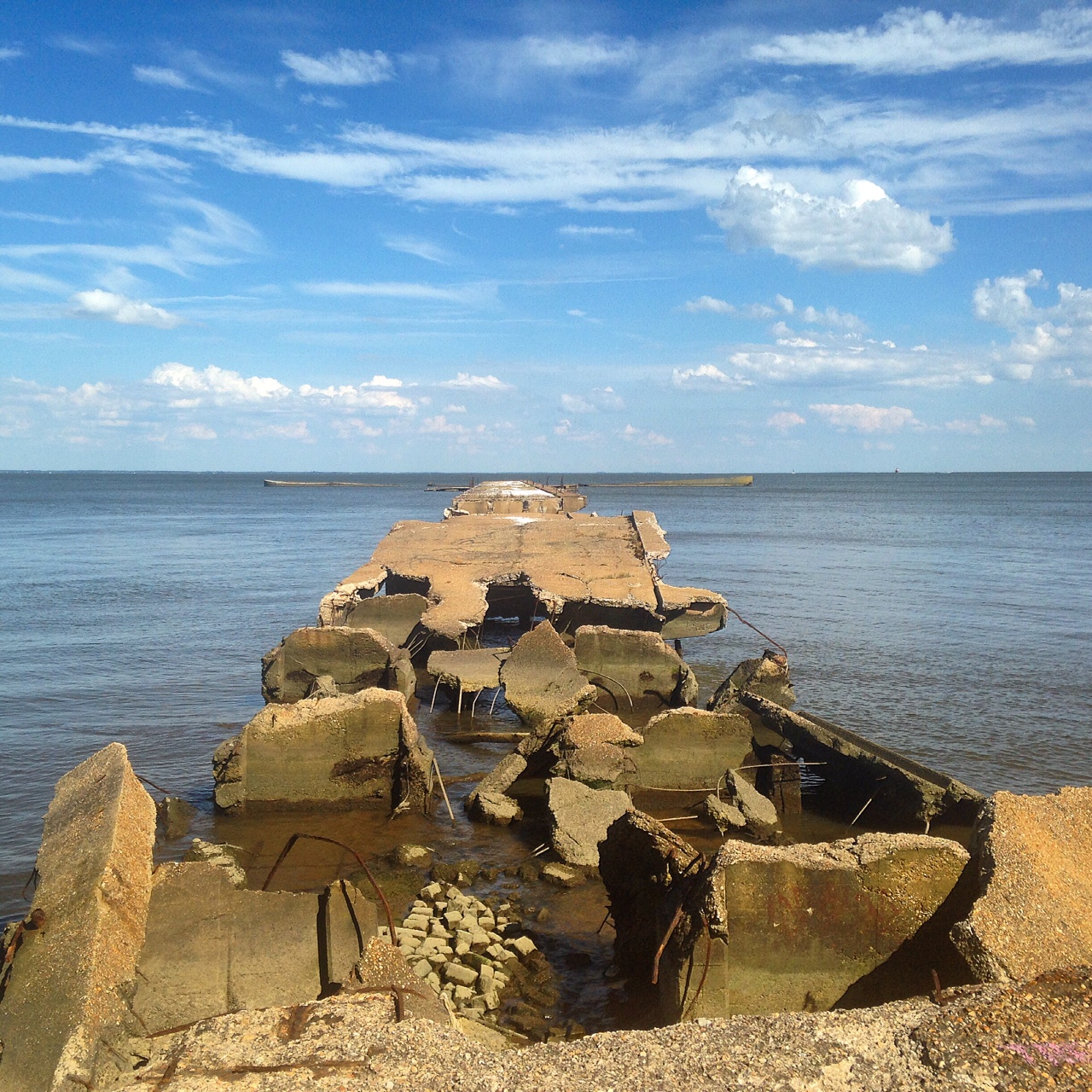 Hike the Black Marsh Trail at North Point State Park