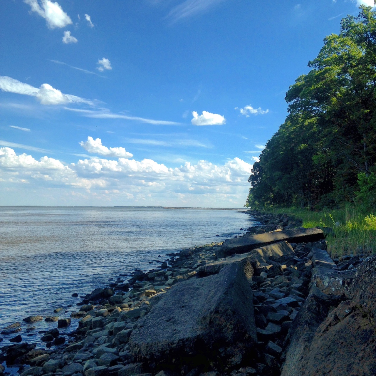 Hike the Black Marsh Trail at North Point State Park