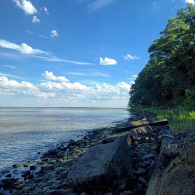 Hike the Black Marsh Trail at North Point State Park