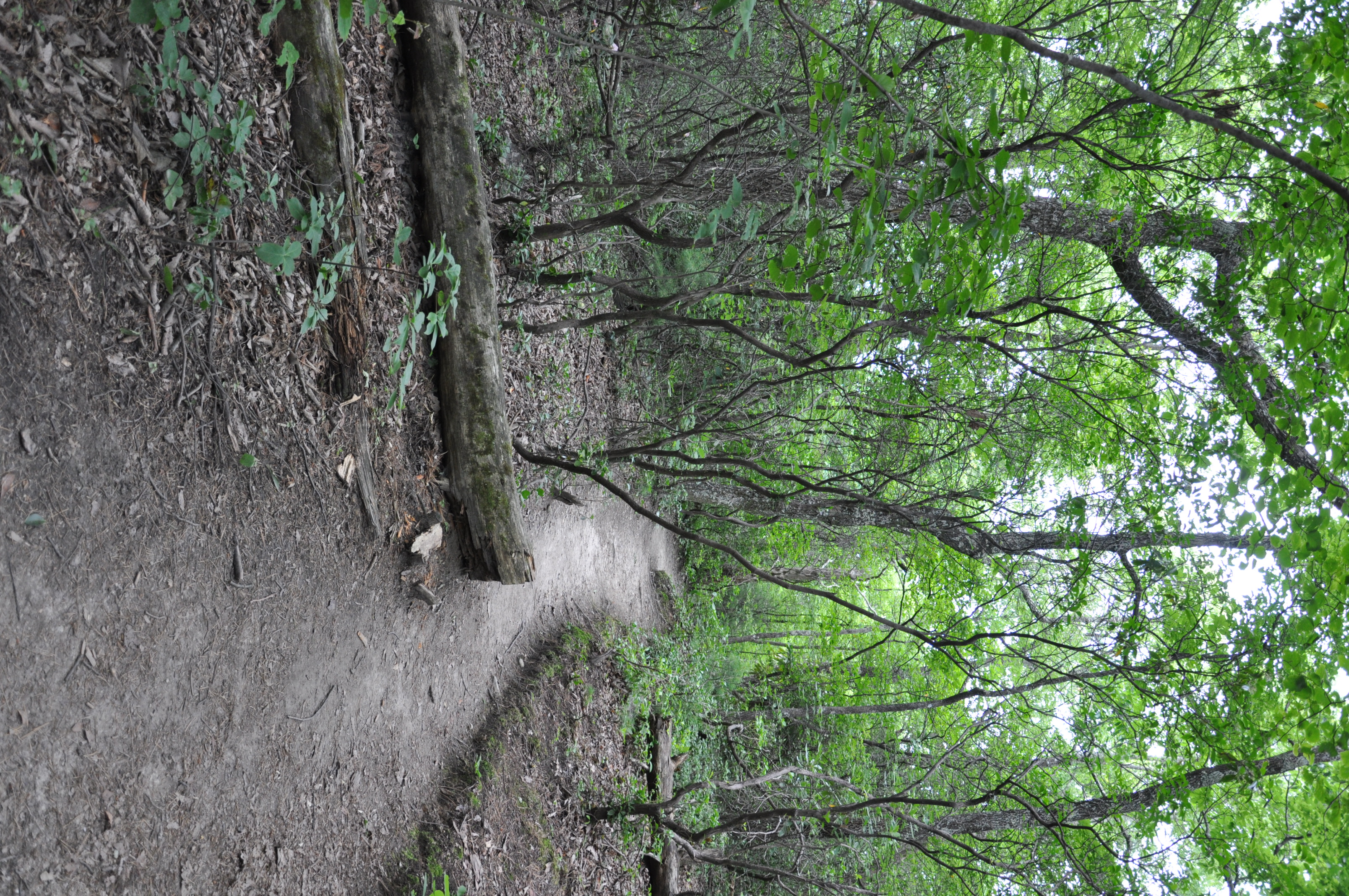 Hike to Hawksbill Mountain