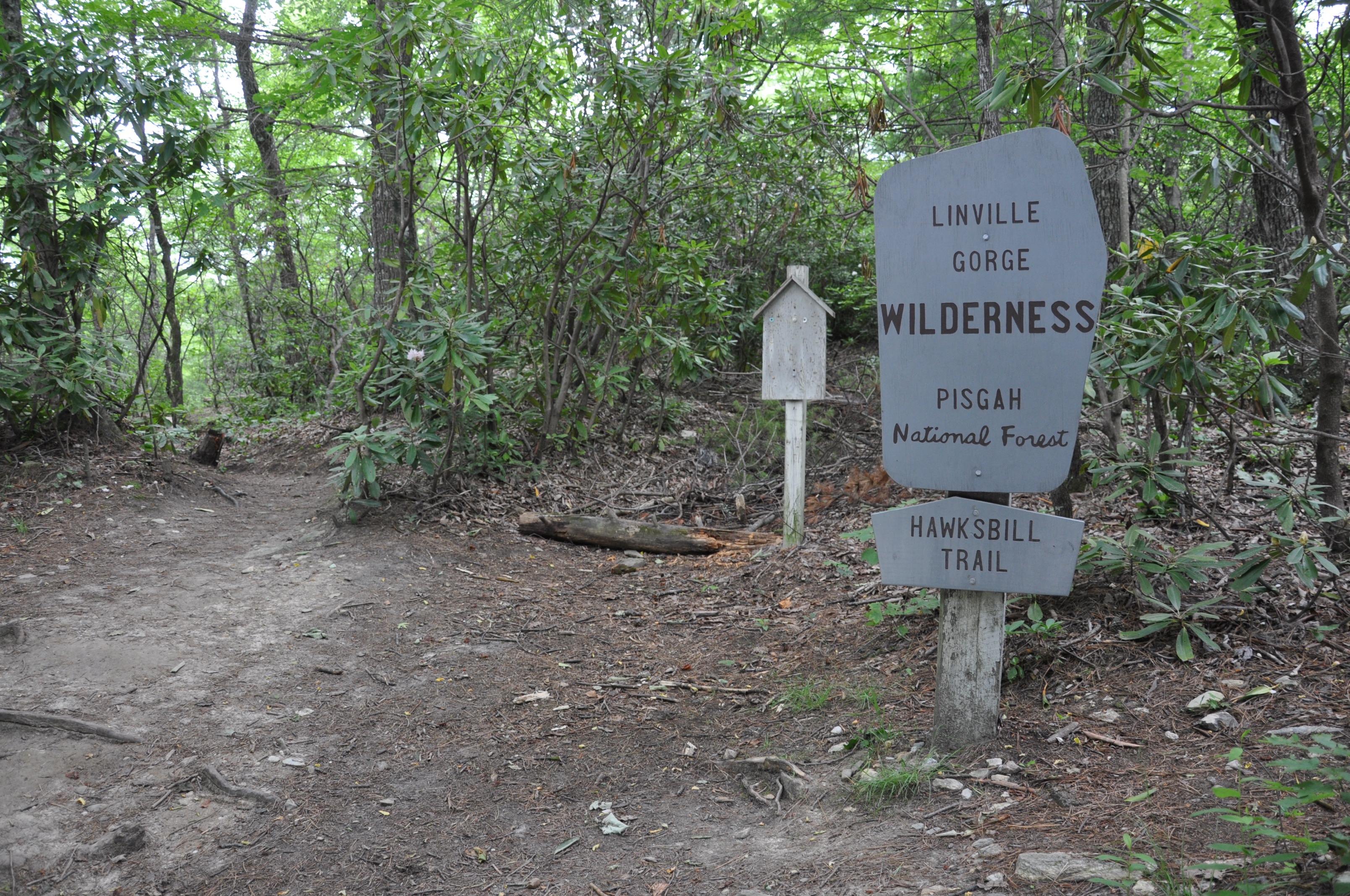 Hike to Hawksbill Mountain