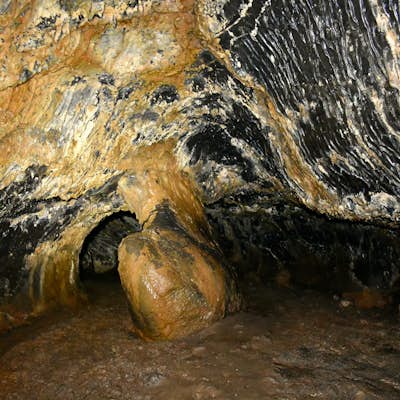 Visit Hopkin's Chocolate Cave