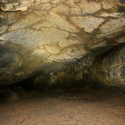 Visit Hopkin's Chocolate Cave