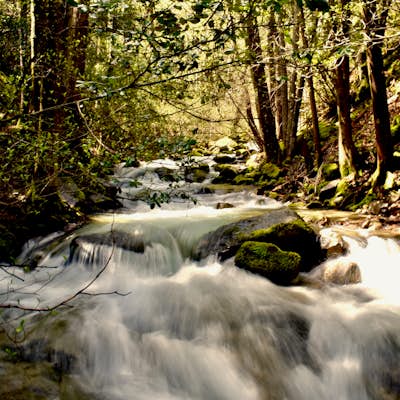 Hike to Whiskeytown Falls in Whiskeytown National Recreation Area