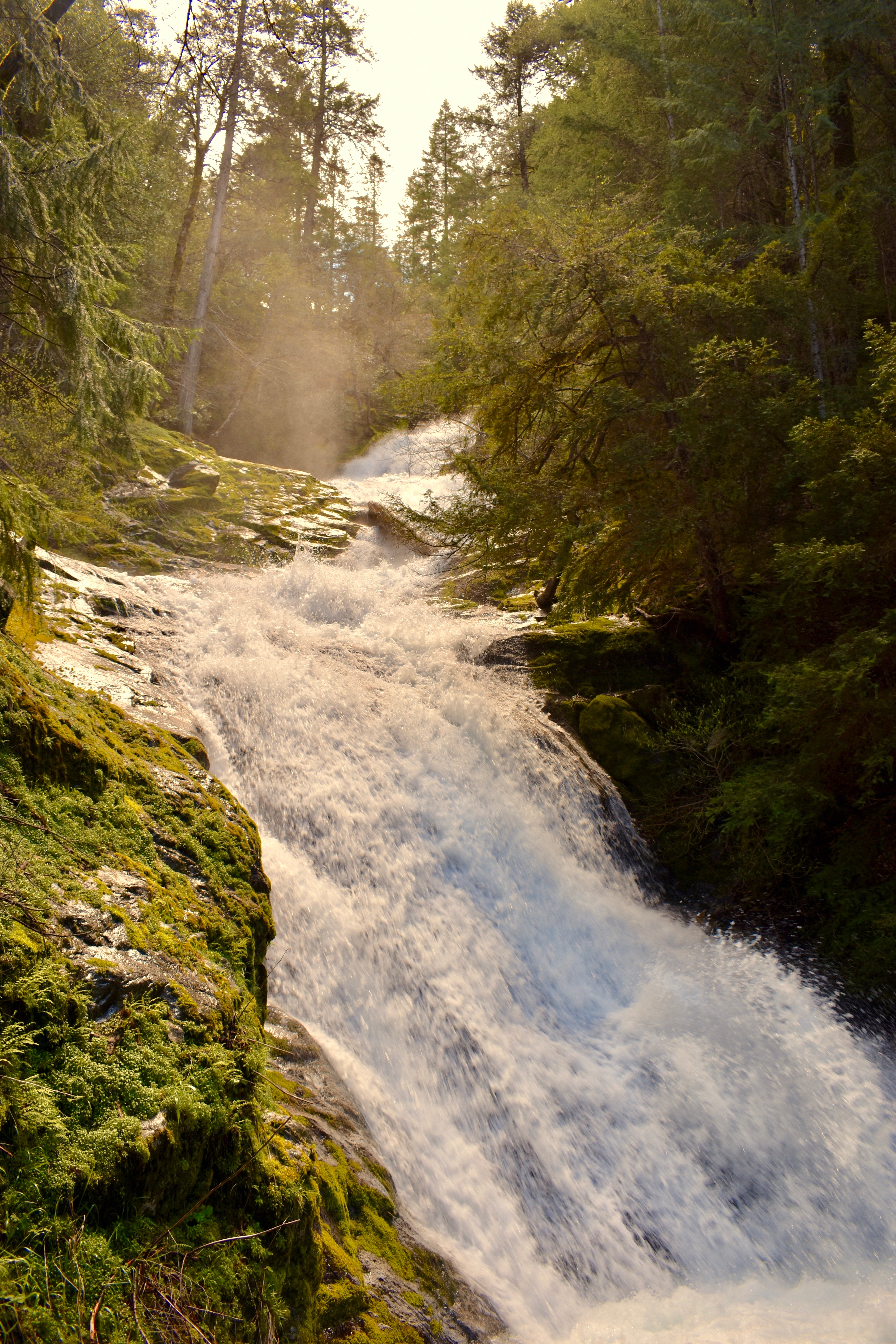 Hike to Whiskeytown Falls in Whiskeytown National Recreation Area
