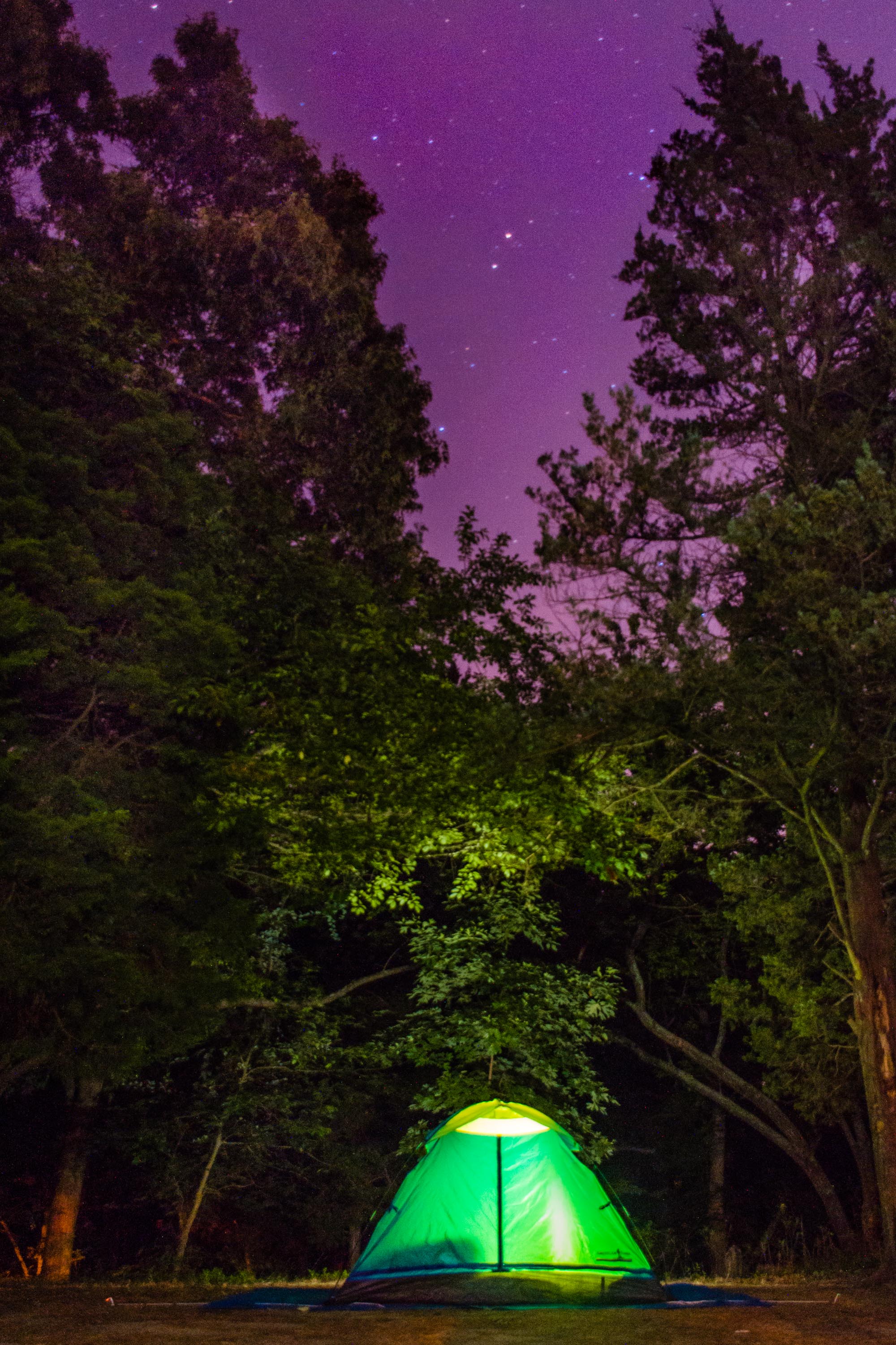 Camp at Cape Henlopen State Park