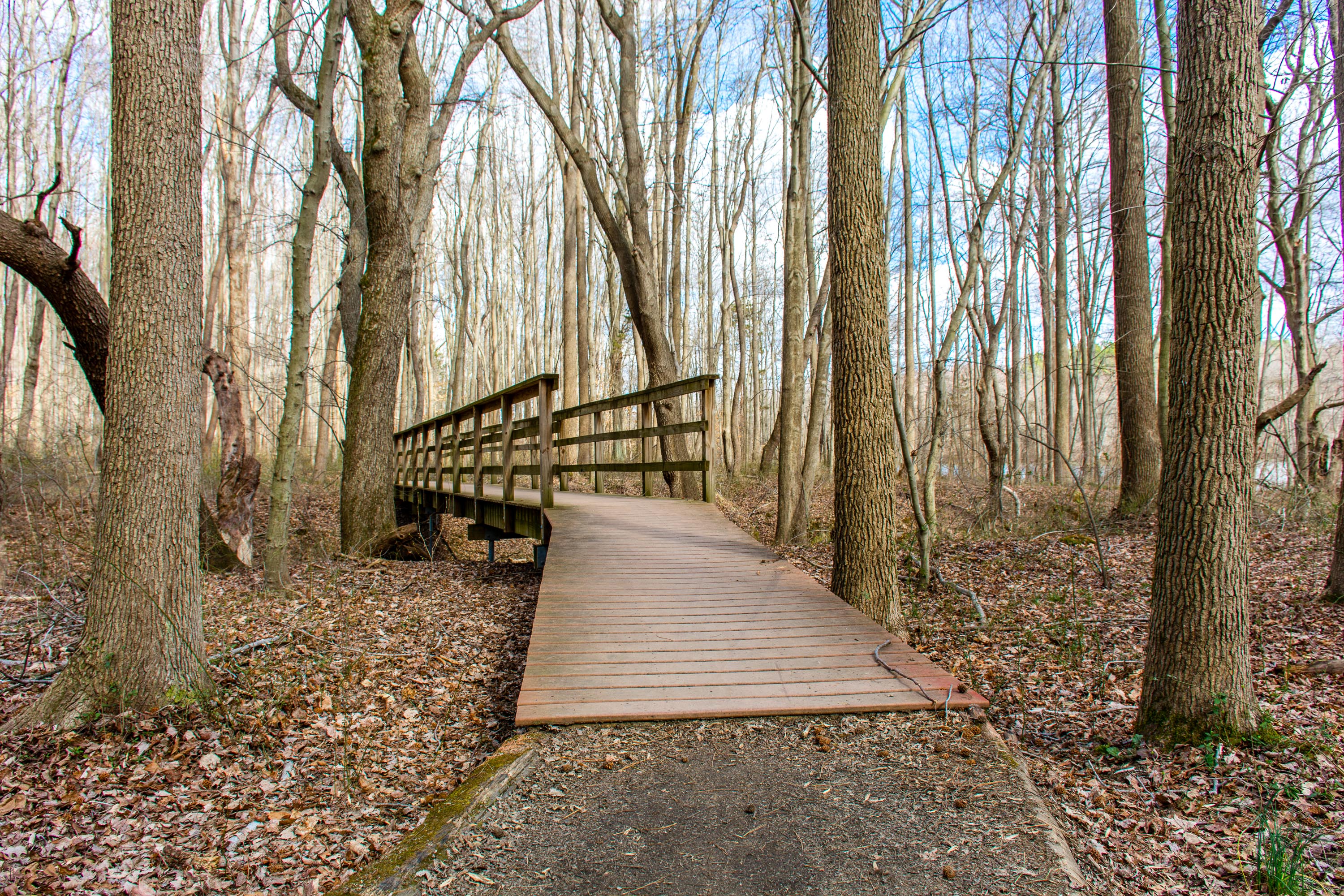 Camp at Lums Pond State Park