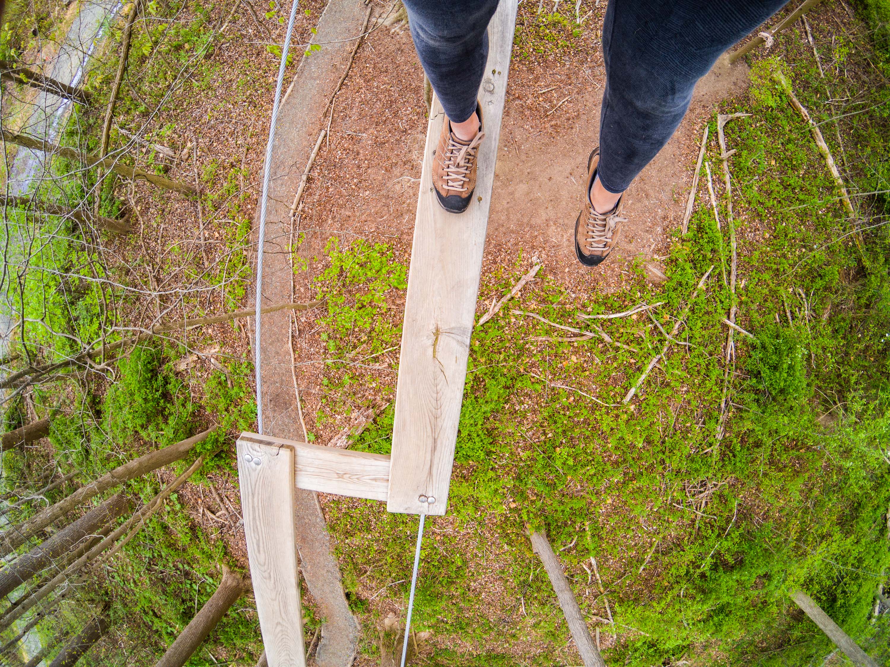 Camp at Lums Pond State Park