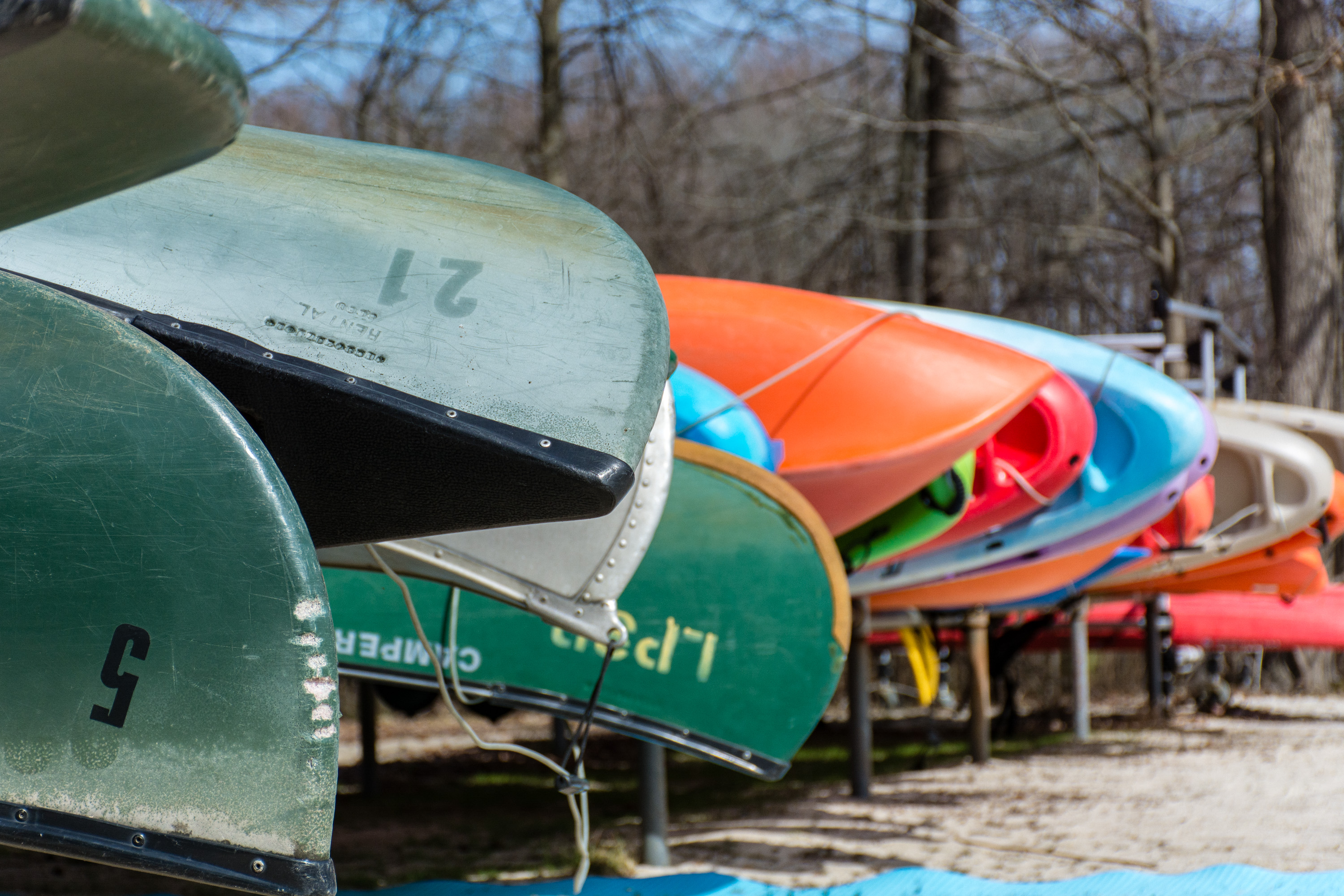 Camp at Lums Pond State Park