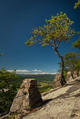Hike the James E. Edmond trail to Lookoff Mountain Overlook