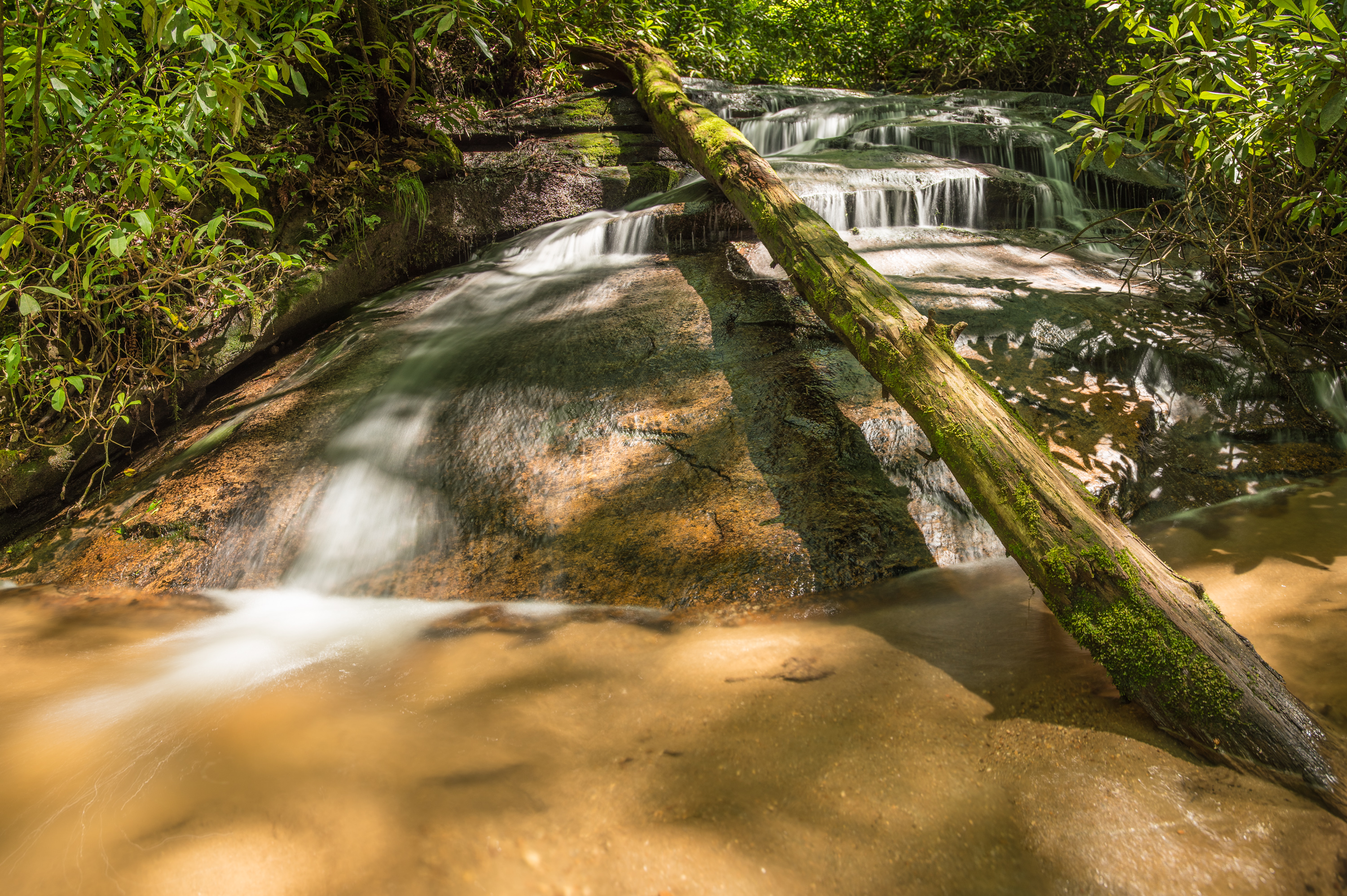 Hike the James E. Edmond trail to Lookoff Mountain Overlook