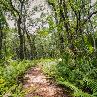 Hike the St. Francis Yellow Trail