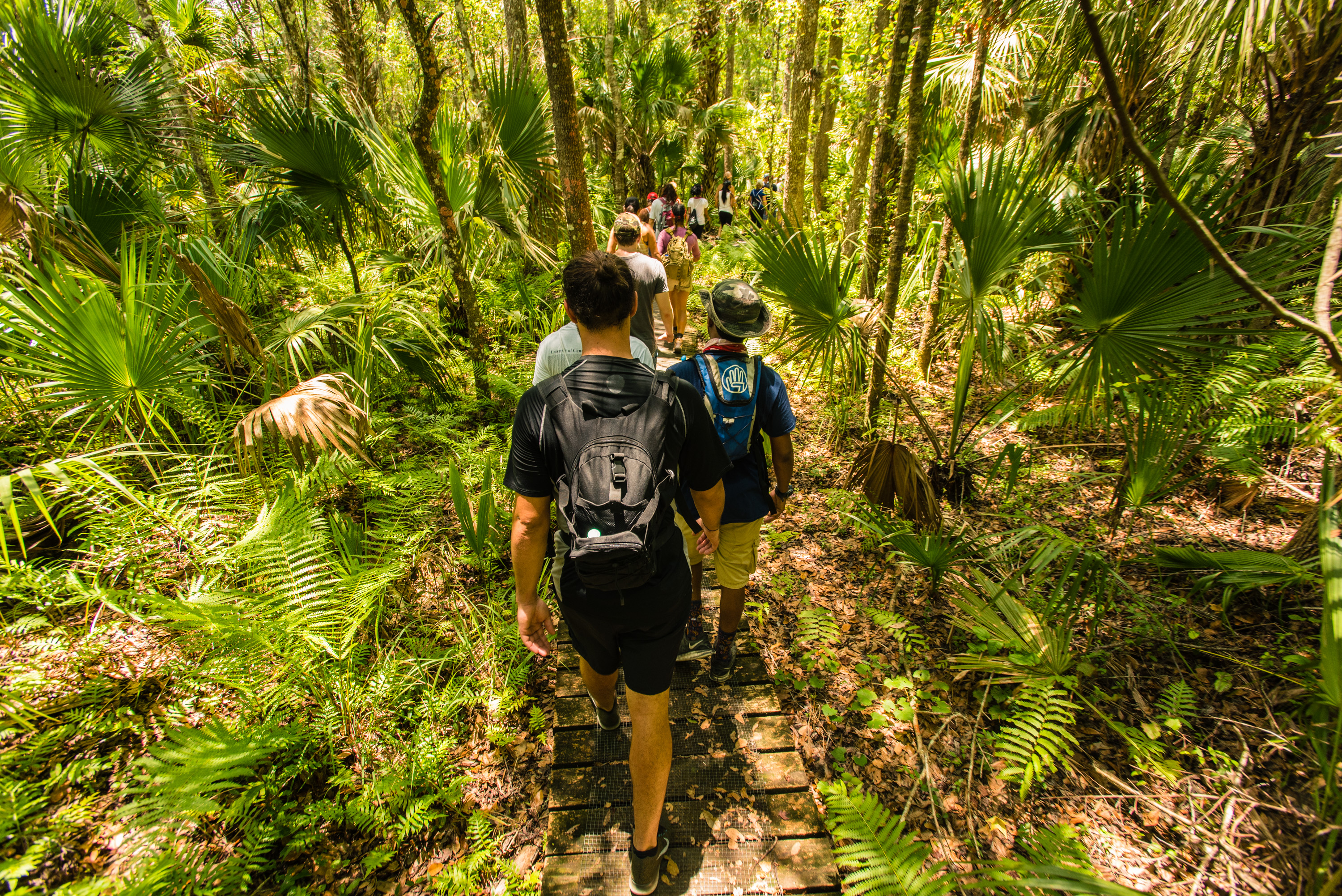 Hike the St. Francis Yellow Trail