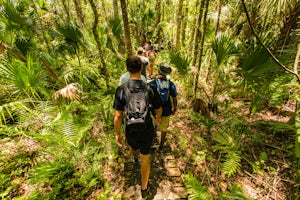 Hike the St. Francis Yellow Trail