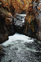 Hike to BC's Englishman River Falls 