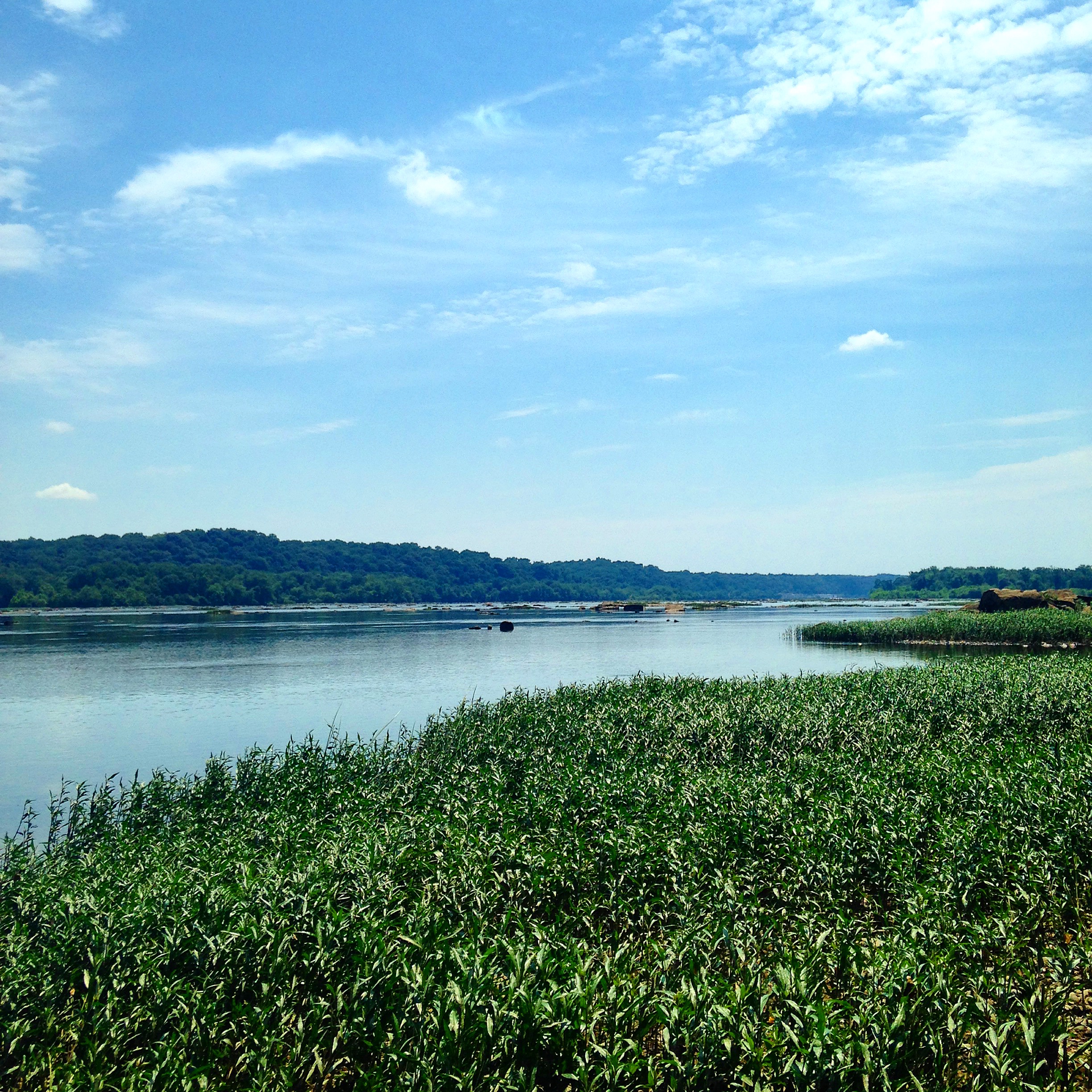 Hike the Susquehanna Ridge Trail at Susquehanna State Park